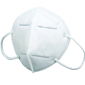 N95 Face Mask